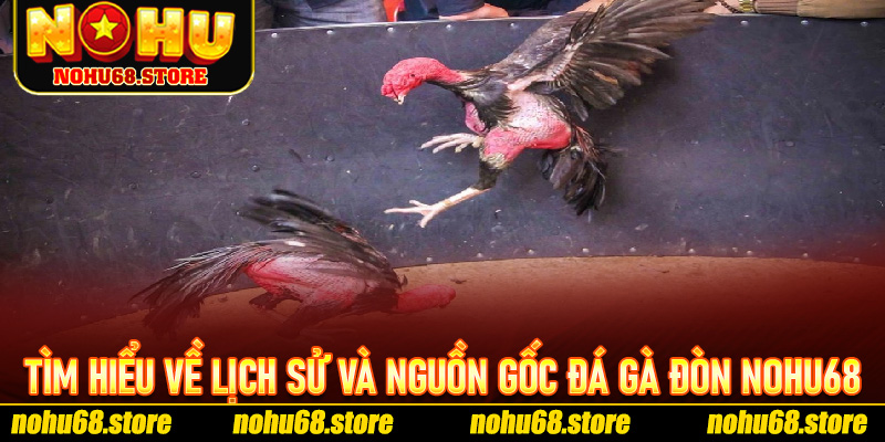 Tìm Hiểu Về Lịch Sử Và Nguồn Gốc Đá Gà Đòn Nohu68