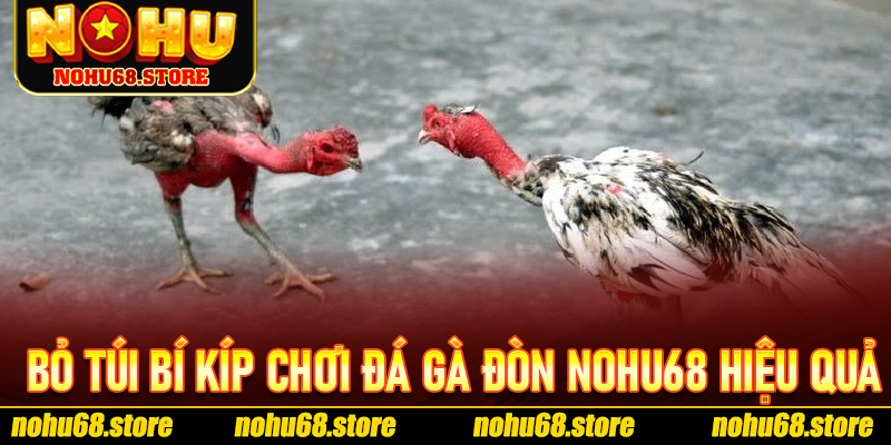 Bỏ túi bí kíp chơi Đá Gà Đòn Nohu68 hiệu quả thắng lớn
