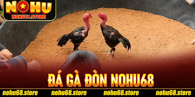 Đá Gà Đòn Nohu68
